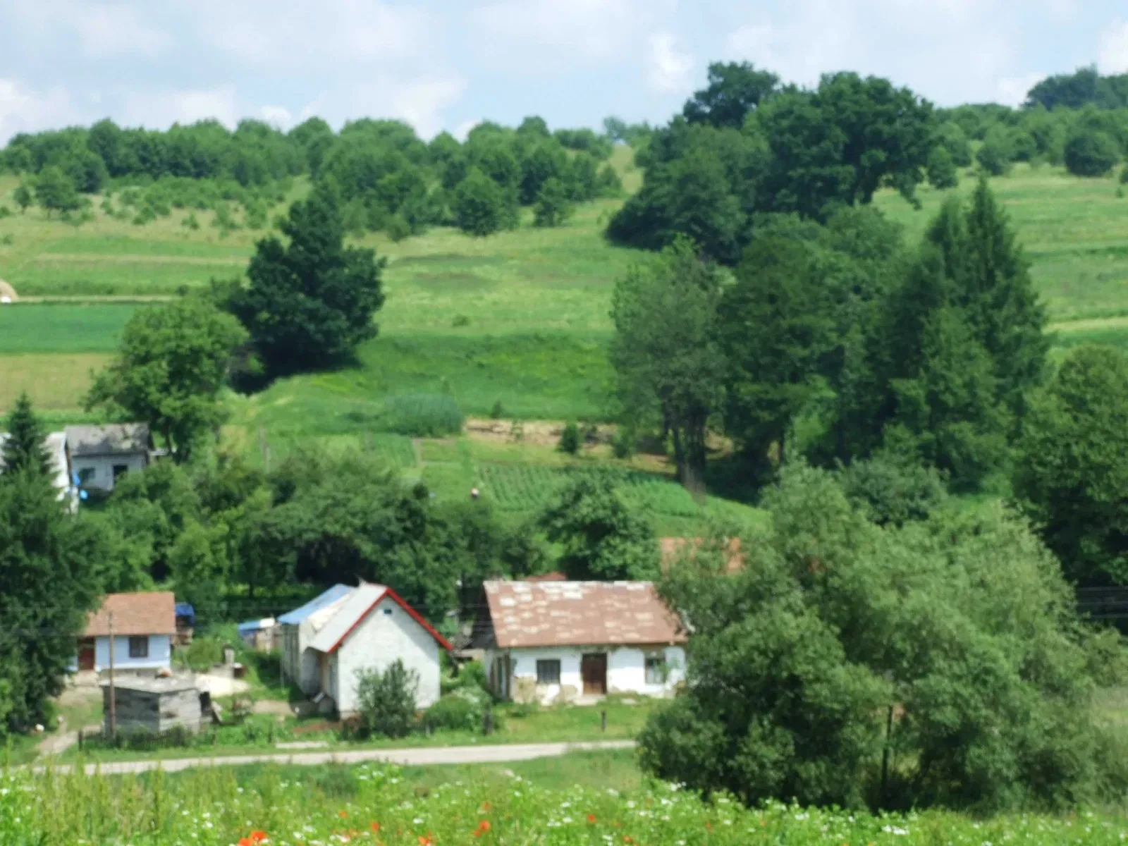 Будинок, Поляна: 37 соток, обмін, гірськолижний витяг поруч - фото 2