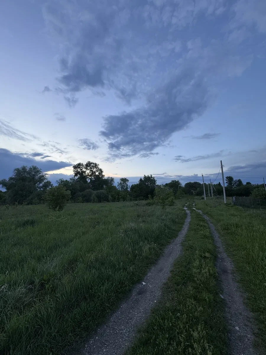 Ділянка 24 соток, Дударків: світло над ділянкою, ліс і озеро поруч, фото 3