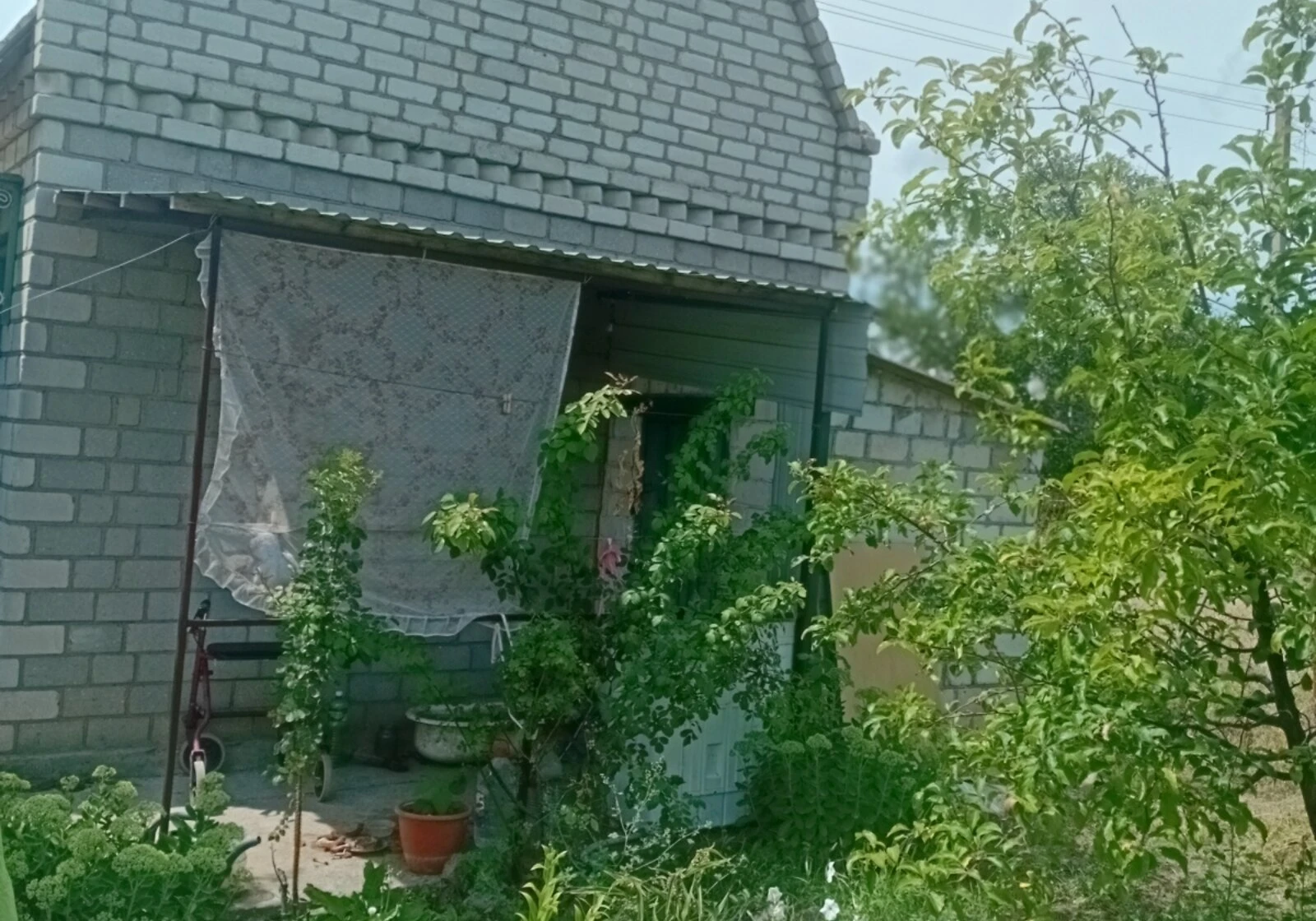 Дача, Стара Богданівка: бесідка, свердловина, сад - фото 1
