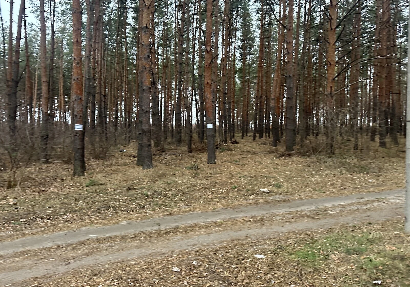 Ділянка 25 соток, Піщанка (Дніпро): під житлову забудову, під гараж