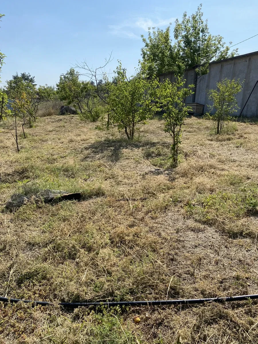 Ділянка 30 соток, Курилівка: будинок-баня 65 м², виноградник - фото 2