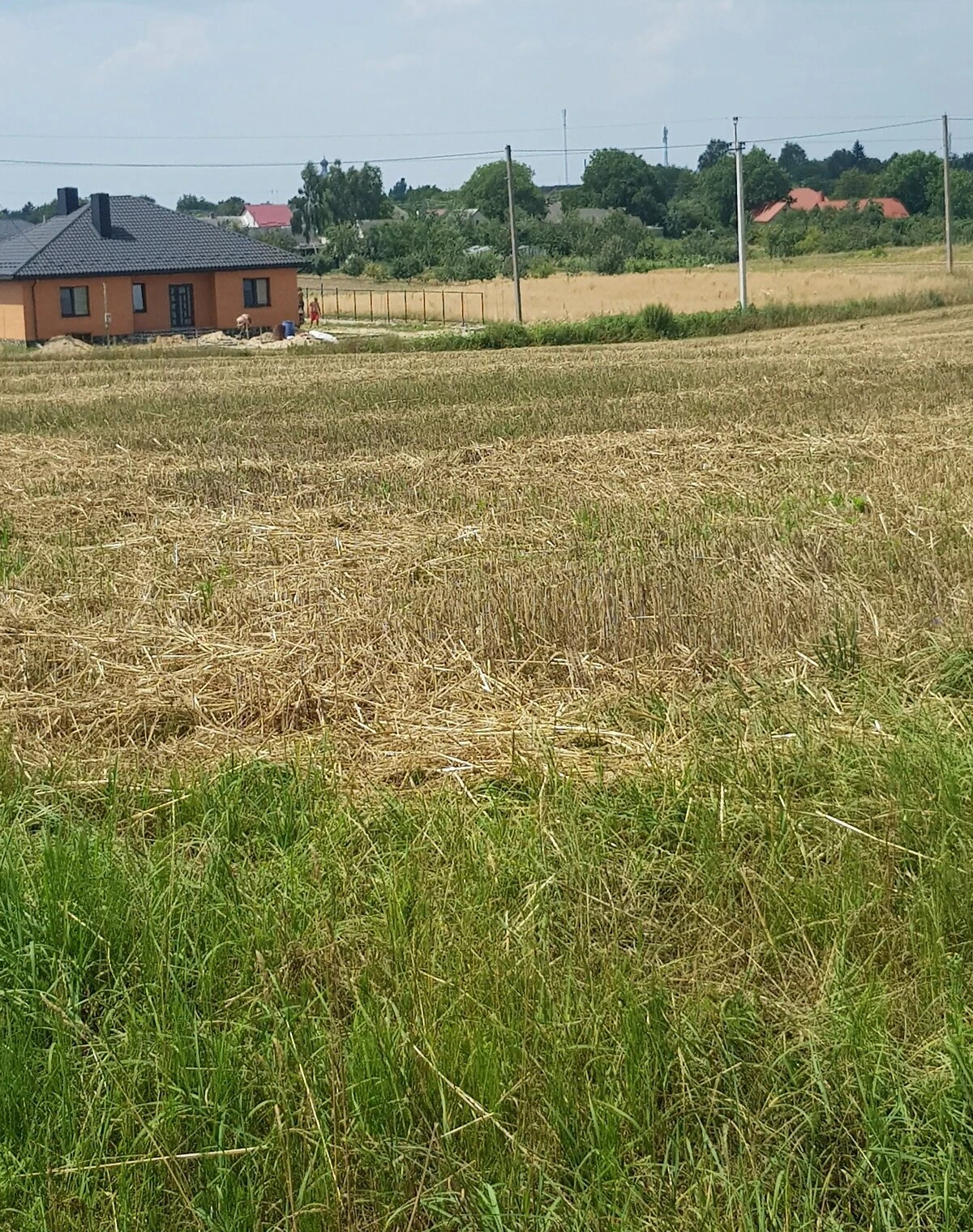 Ділянка 18.46 сотки, Копачівка: під житлову забудову, електрика - фото 5
