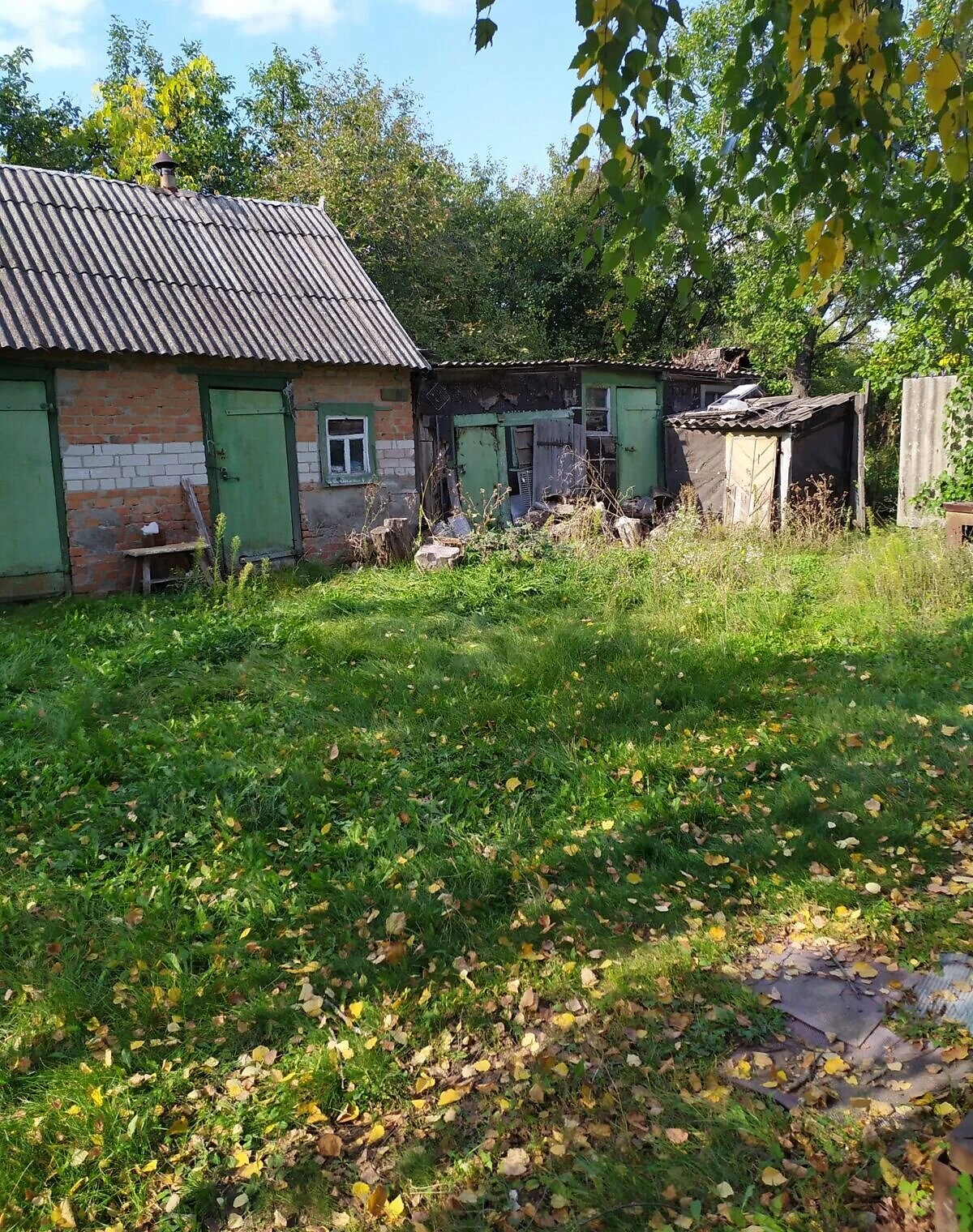 Дом, Сковородиновка: отопление, гараж с подвалом, фото 4