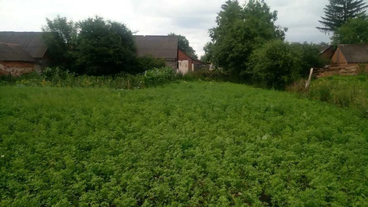 Ділянка 0,17 соток, Романів: будинок 68 м², під забудову, фото 3