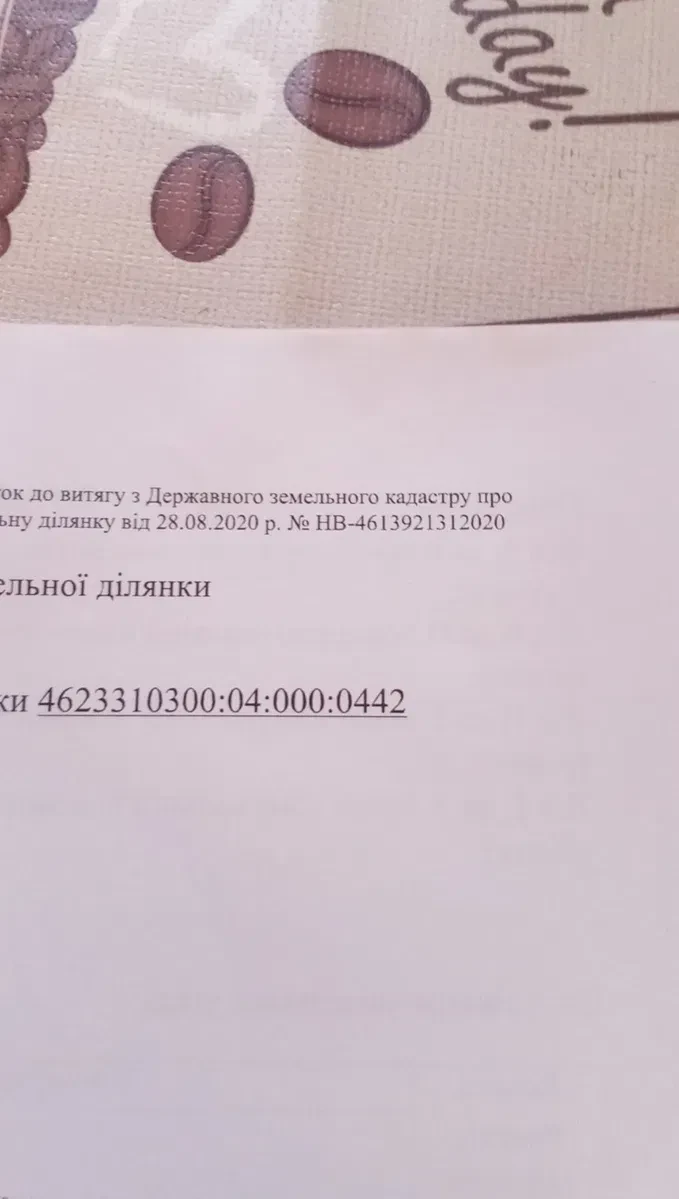 Ділянка 50 соток, Шпильчина: не заросла, світло за 500 м - фото 1
