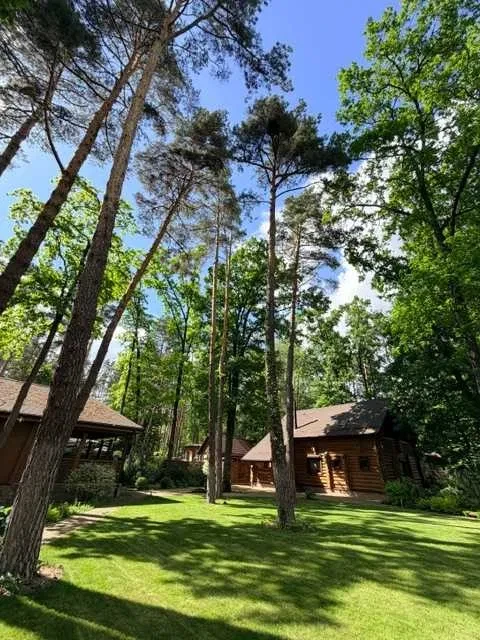 Будинок, Лебедівка: генератор, 20 соток, гостьовий будинок