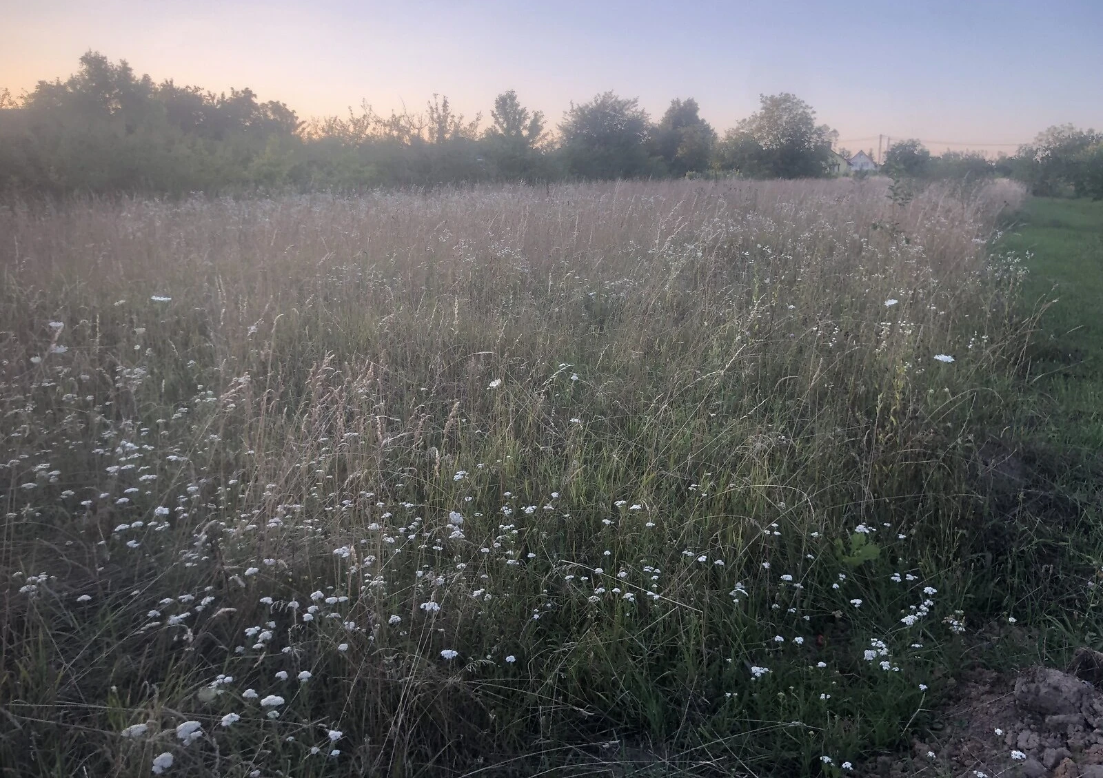 Ділянка 19.22 сотки, Парпурівці: під житлову забудову, торг можливий - фото 3