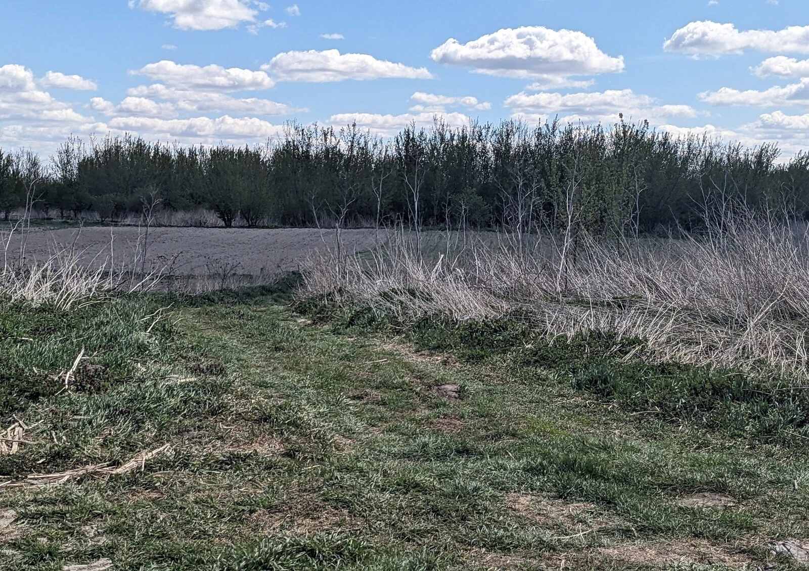 Ділянка 10 соток, Городок: під житлову забудову, природне озеро - фото 4