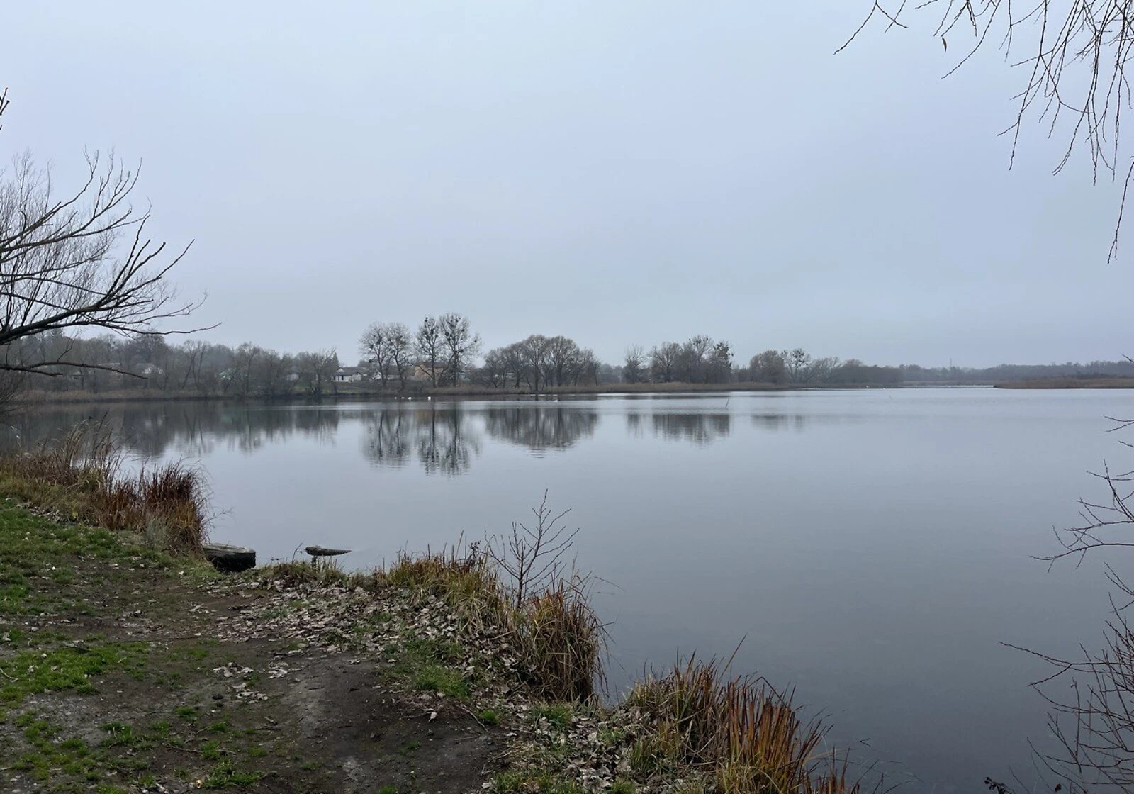 Будинок, Широка Гребля: 21 сотка, панорамні вікна, тераса - фото 4