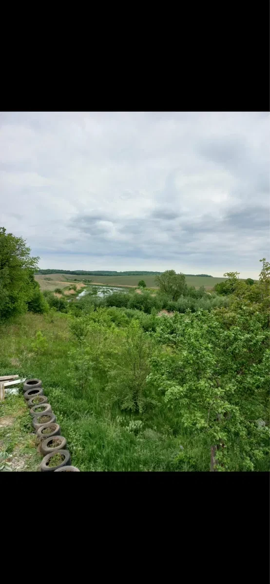 Будинок, Жилинці: 49 соток біля дому, 5 га під водойму, фото 3