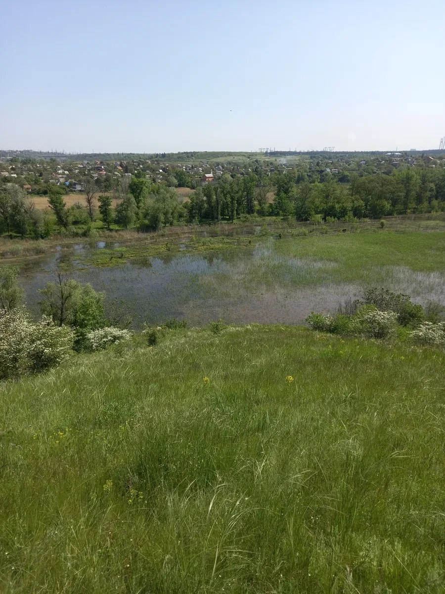 Участок 1 200 соток, Хортицкий: сельхозназначения