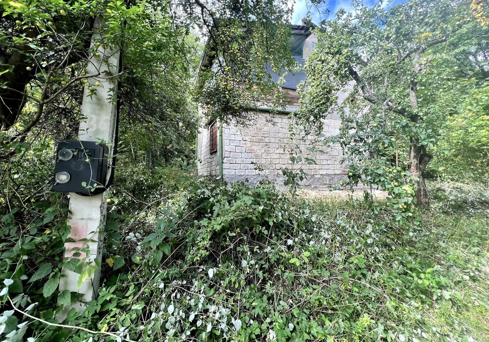 Дача, Винники (Дрогобич): камін, ділянка 6,5 сотки, фото 5