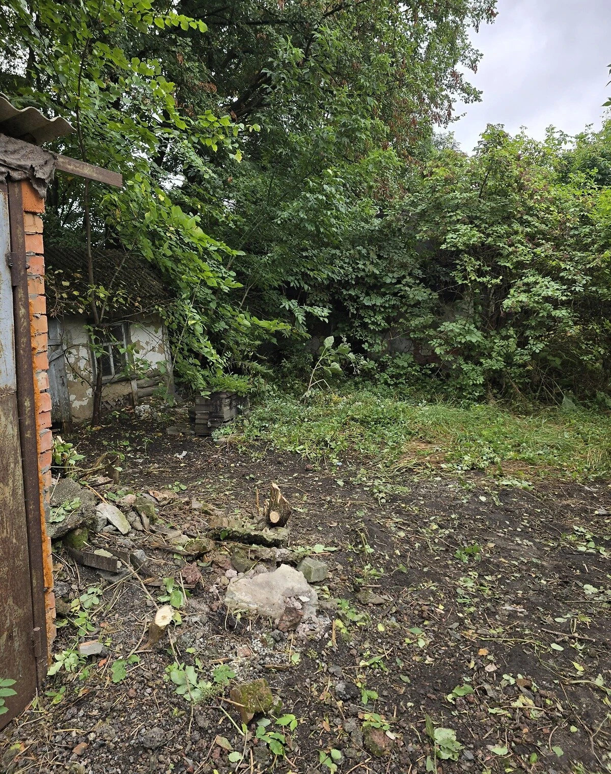 Дом, Кривое: 40 соток, веранда, огород и погреб, фото 5