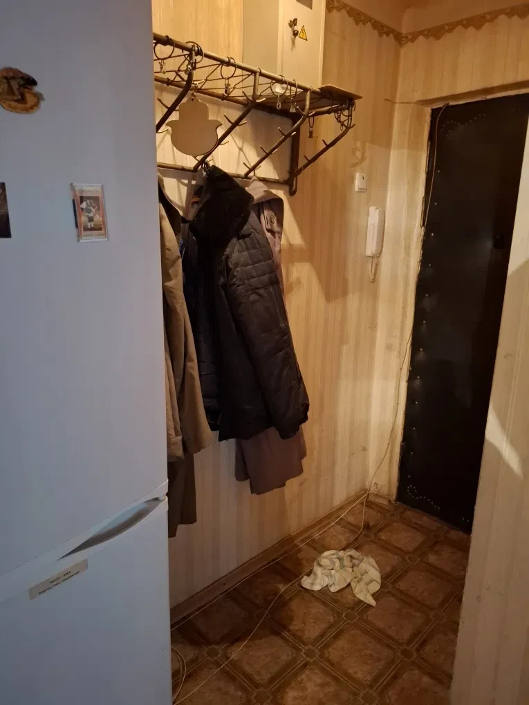 3-кімнатна квартира, проспект О. Поля: для родини, можна з котом, фото 4
