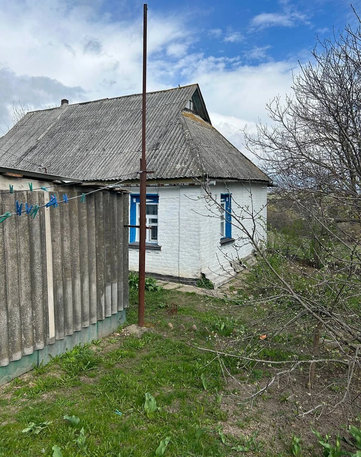 Дача, Квітки: криниця, літня кухня - фото 2