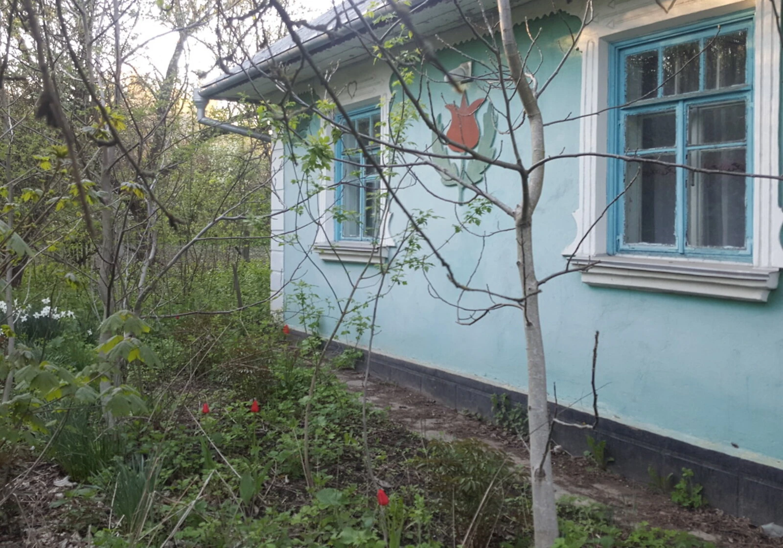 Будинок, Копай: 40 соток, гараж, веранда, фото 4