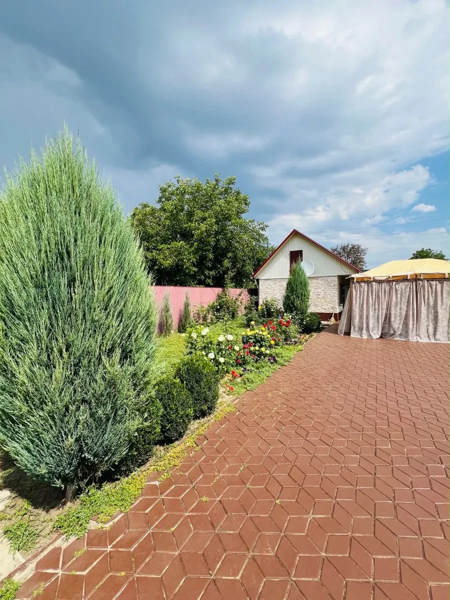 Будинок, Орлівщина: євроремонт, 30 соток, генератор, фото 5