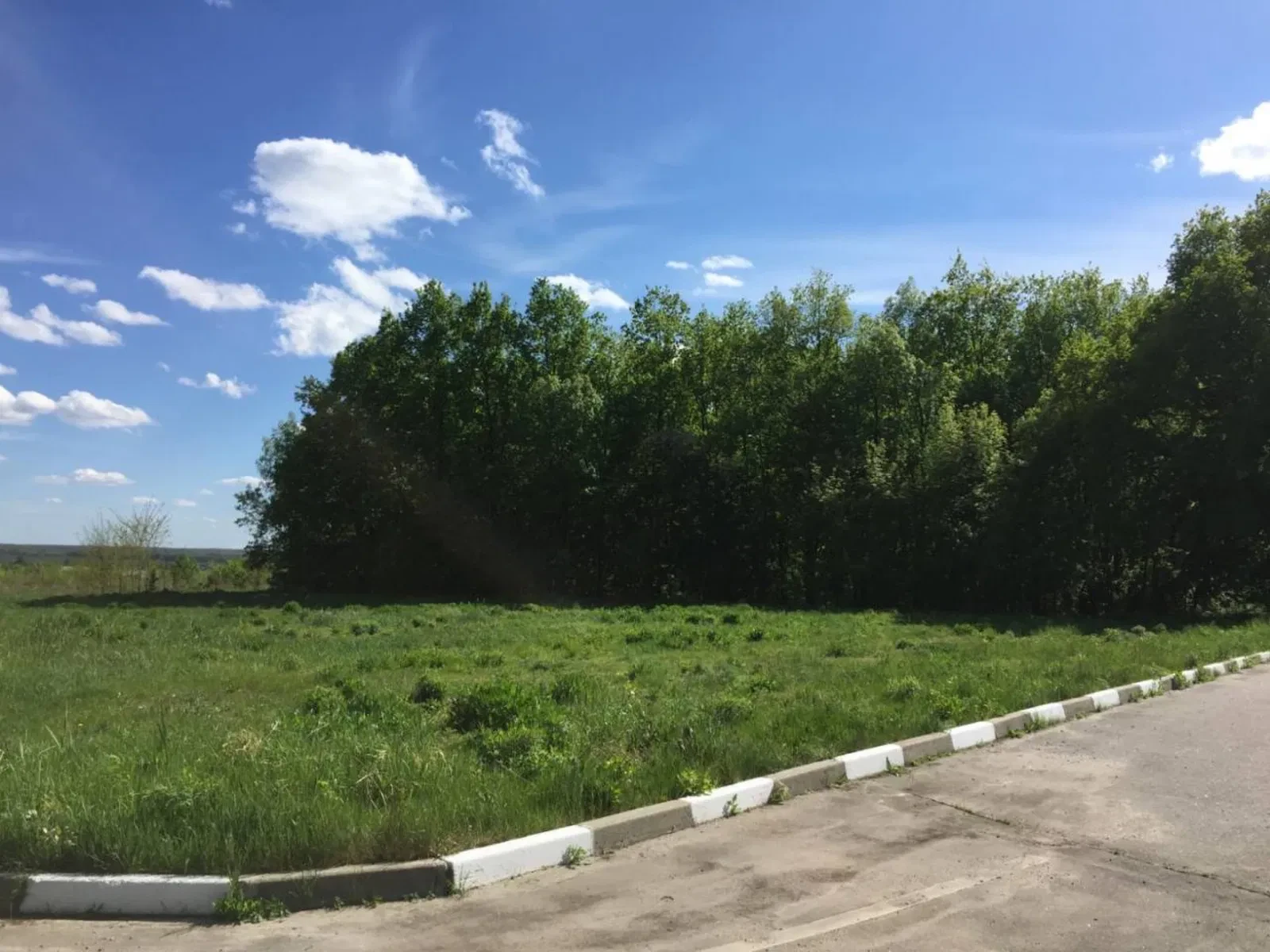 Дві ділянки 45 соток, Високий: дубовий ліс, асфальтований під'їзд - фото 2