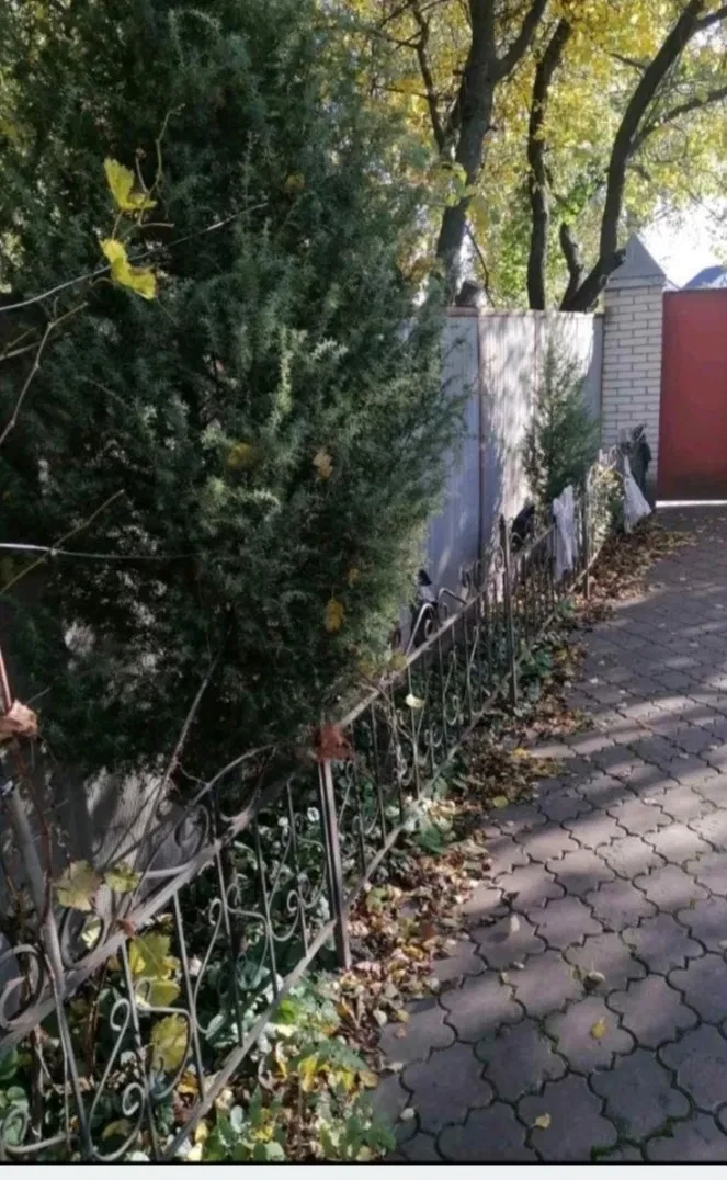 Дом, Сумы: рядом с Царским, 18 соток, сауна, фото 5