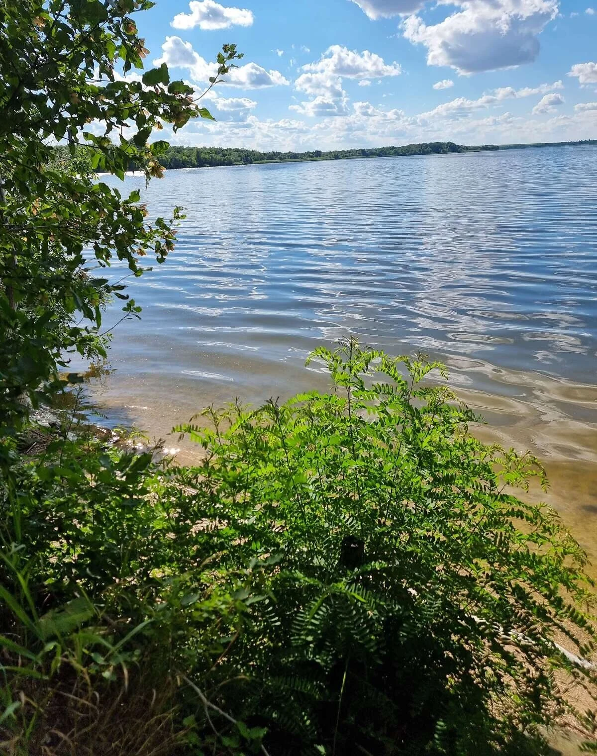 Ділянка 6 соток, Данилівка: штучне озеро, під гараж, фото 5