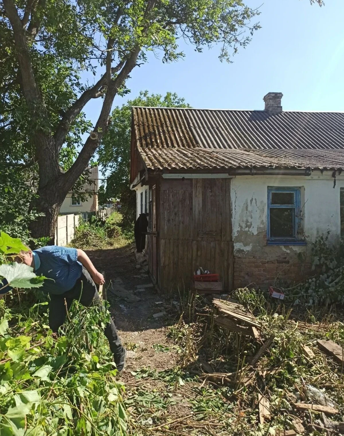 Частина будинку, Звягель: сад, літня кухня, торг - фото 2