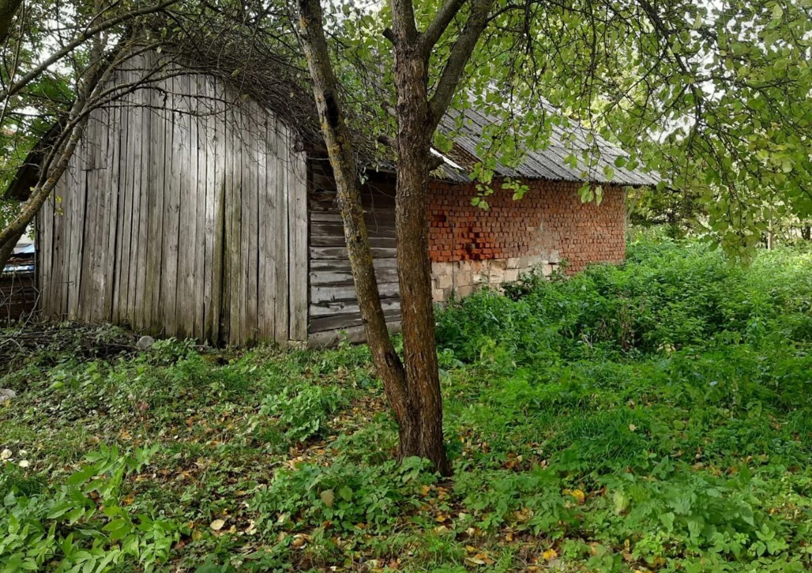 Будинок, Осташівці: ділянка 20 соток, гараж із підвалом - фото 3