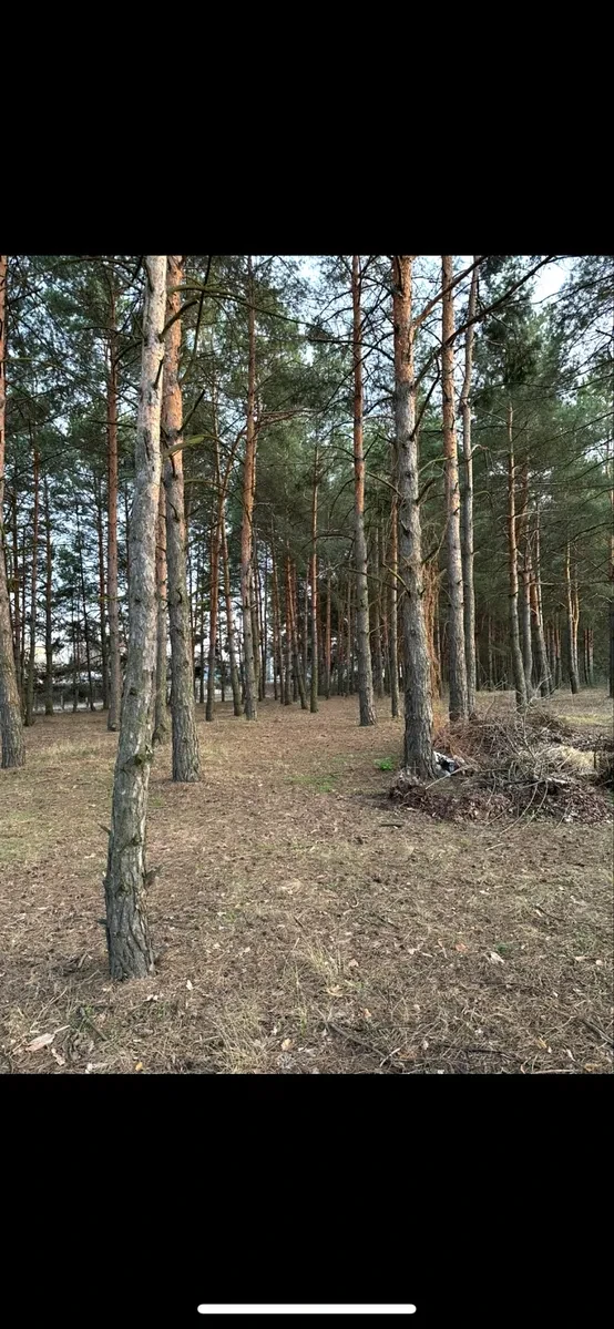 Ділянка 12 соток, Проців: можна підключити 100 кВт, біля Дніпра - фото 1