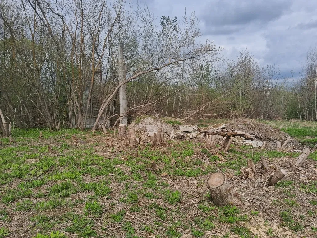 Будівля котельні, Залізці: берег річки Серет, кранбалка - фото 4