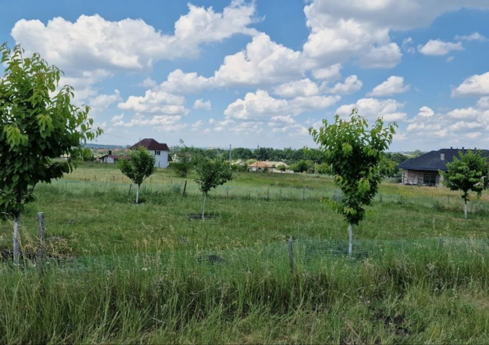 Ділянка 18.42 сотки, Братське (Дніпро): під житлову забудову - фото 5