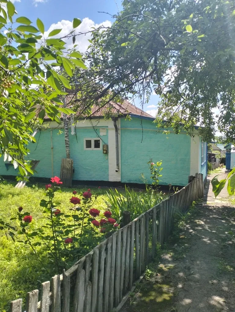 Будинок, Ставище: родючий сад і город, 15 соток, дві системи опалення - фото 2