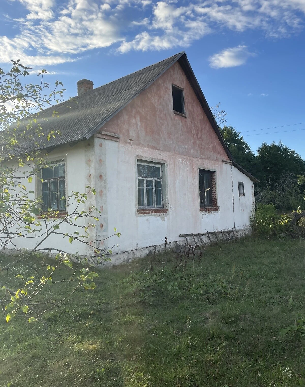 Дом, Маюничи, фото 4