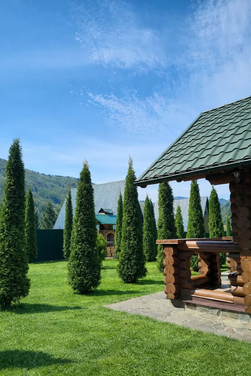 Дача, Колочава: два котеджі, біля річки, вода без світла - фото 5
