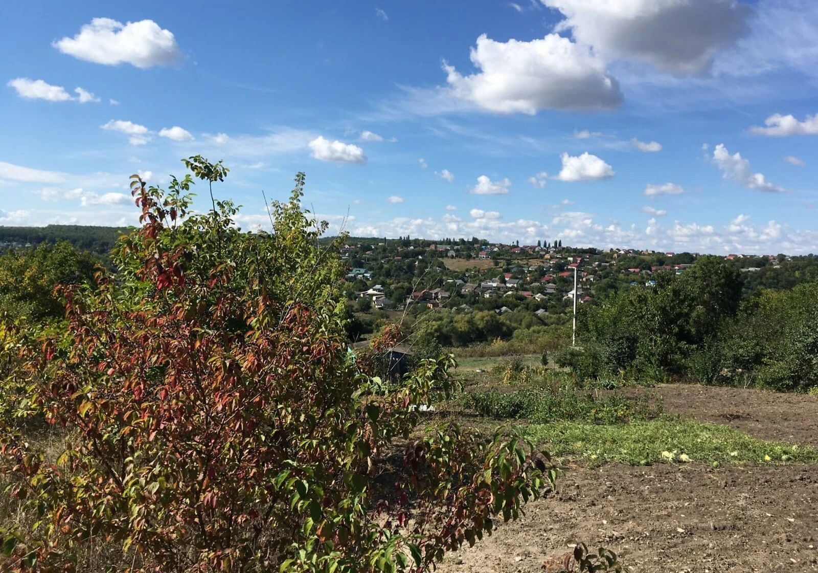 Ділянка 10 соток, Городок: під житлову забудову, сад, чорнозем, фото 3