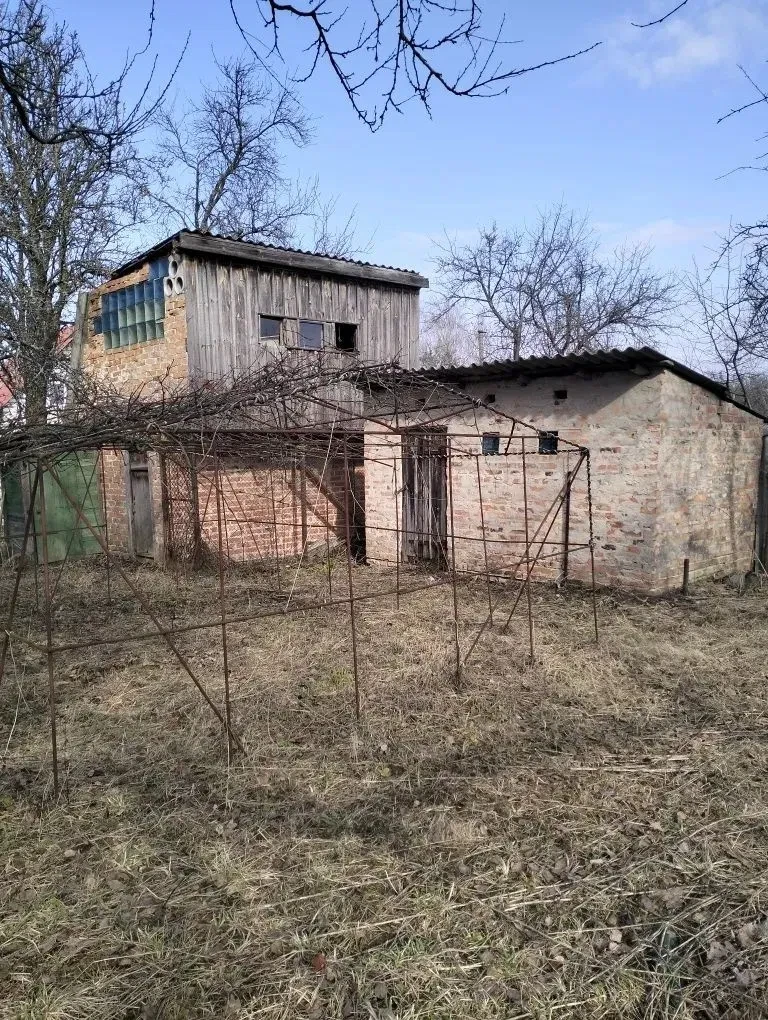 Дача, Чернігів: приватизована ділянка, світло і вода, фото 5