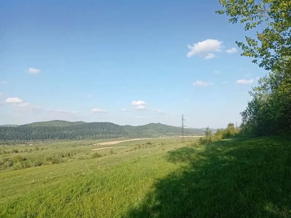 Участок 16 соток, Розлуч: у леса, обмен возможен, фото 3