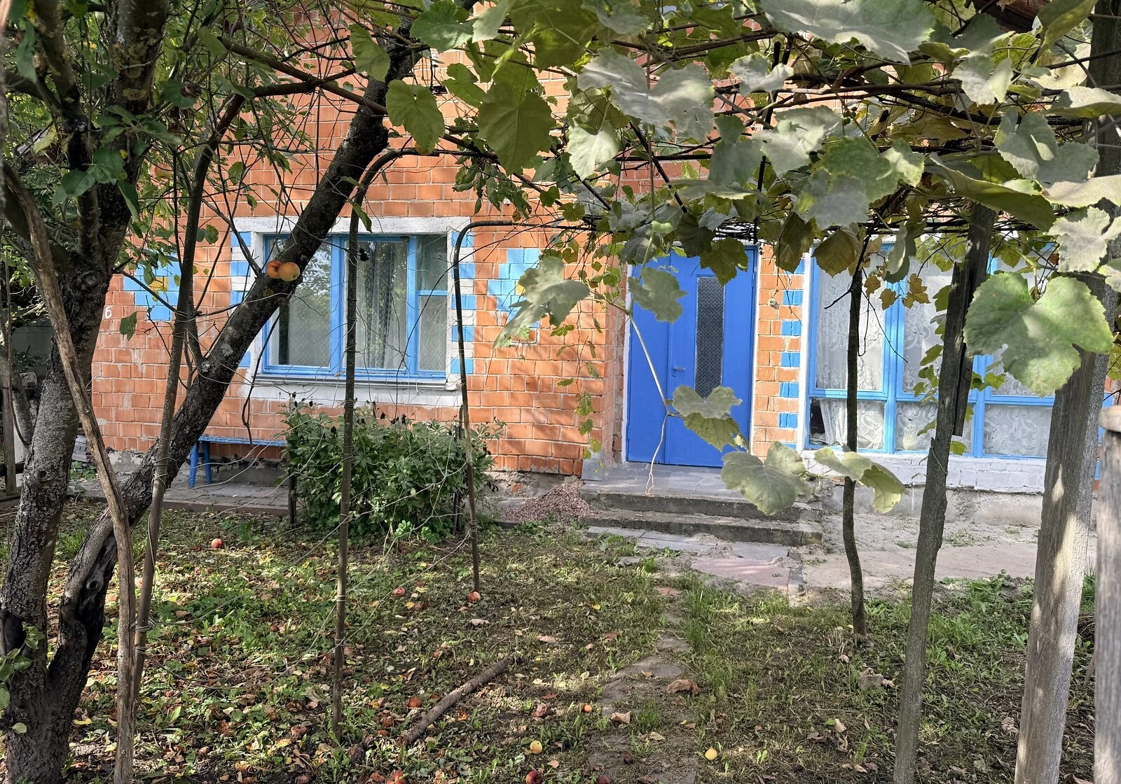 Будинок, Пилипонка: сад, господарські будівлі - фото 1