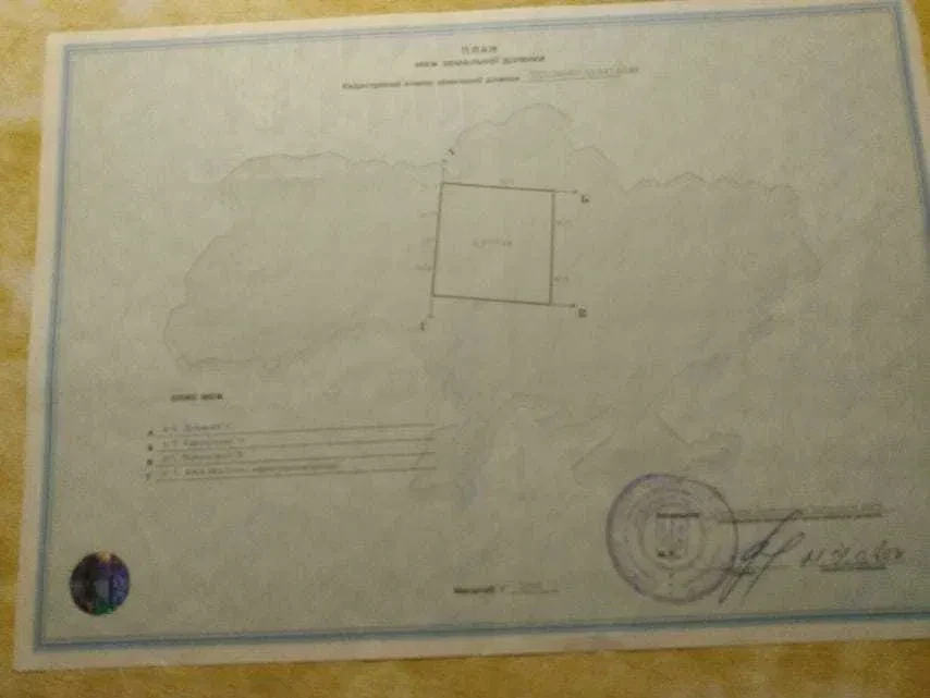 Ділянка 64 соток, Погреби: під забудову, газ і світло поруч - фото 4