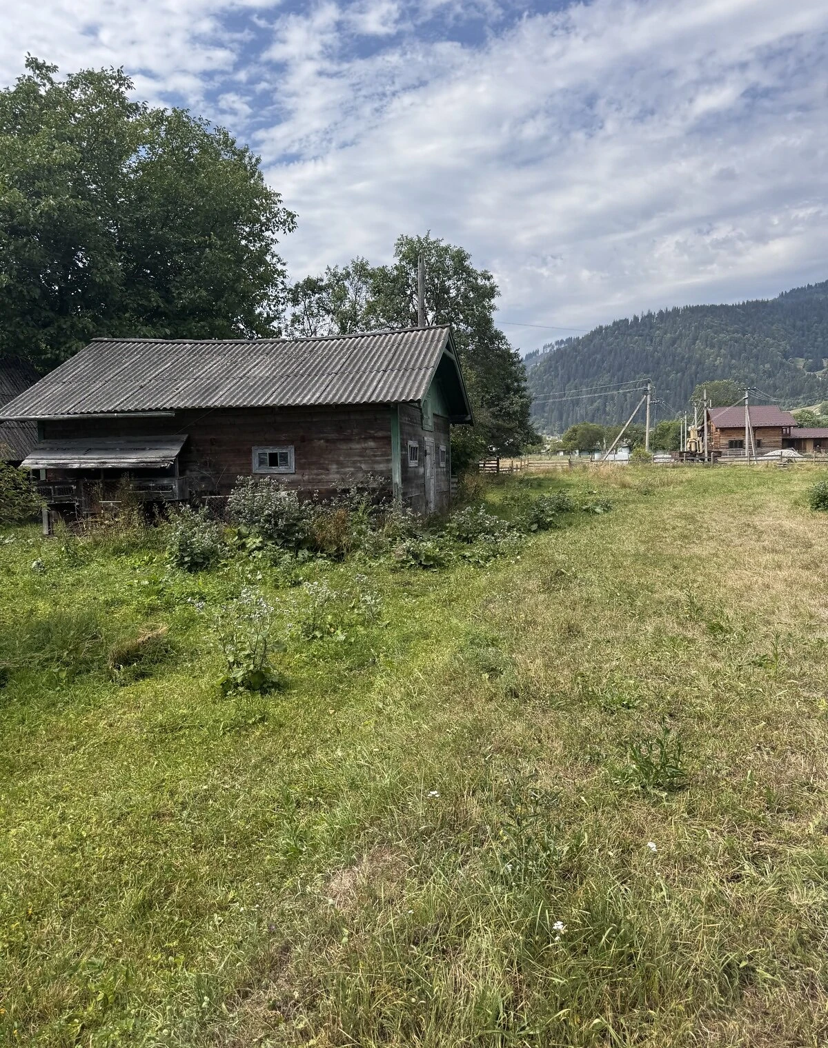 Ділянка 54 сотки, Красник: город і сад, електрика, фото 5