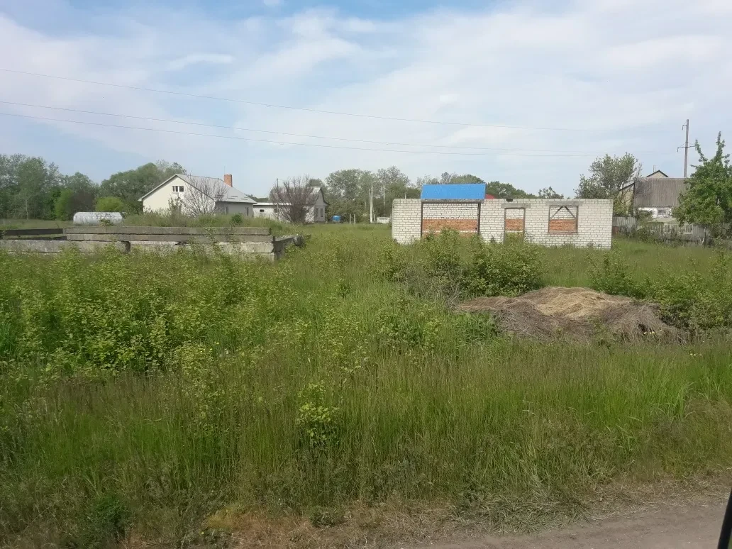Будинок, Омельник: річка за 200 м, 15 соток землі, фото 3