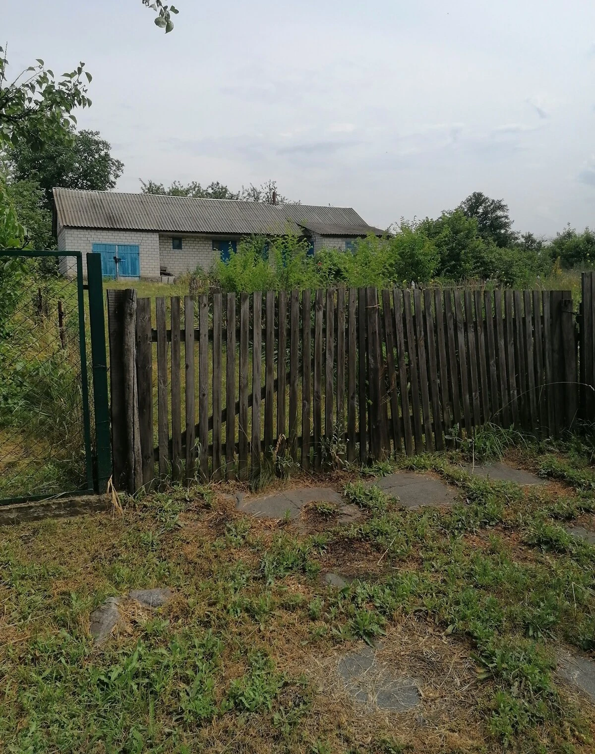 Ділянка 16 соток, Велика Багачка: водопровід, сад і виноградник - фото 1