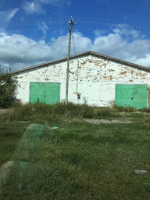 Тваринницька ферма, Ружин: торг, довгострокова оренда, фото 4