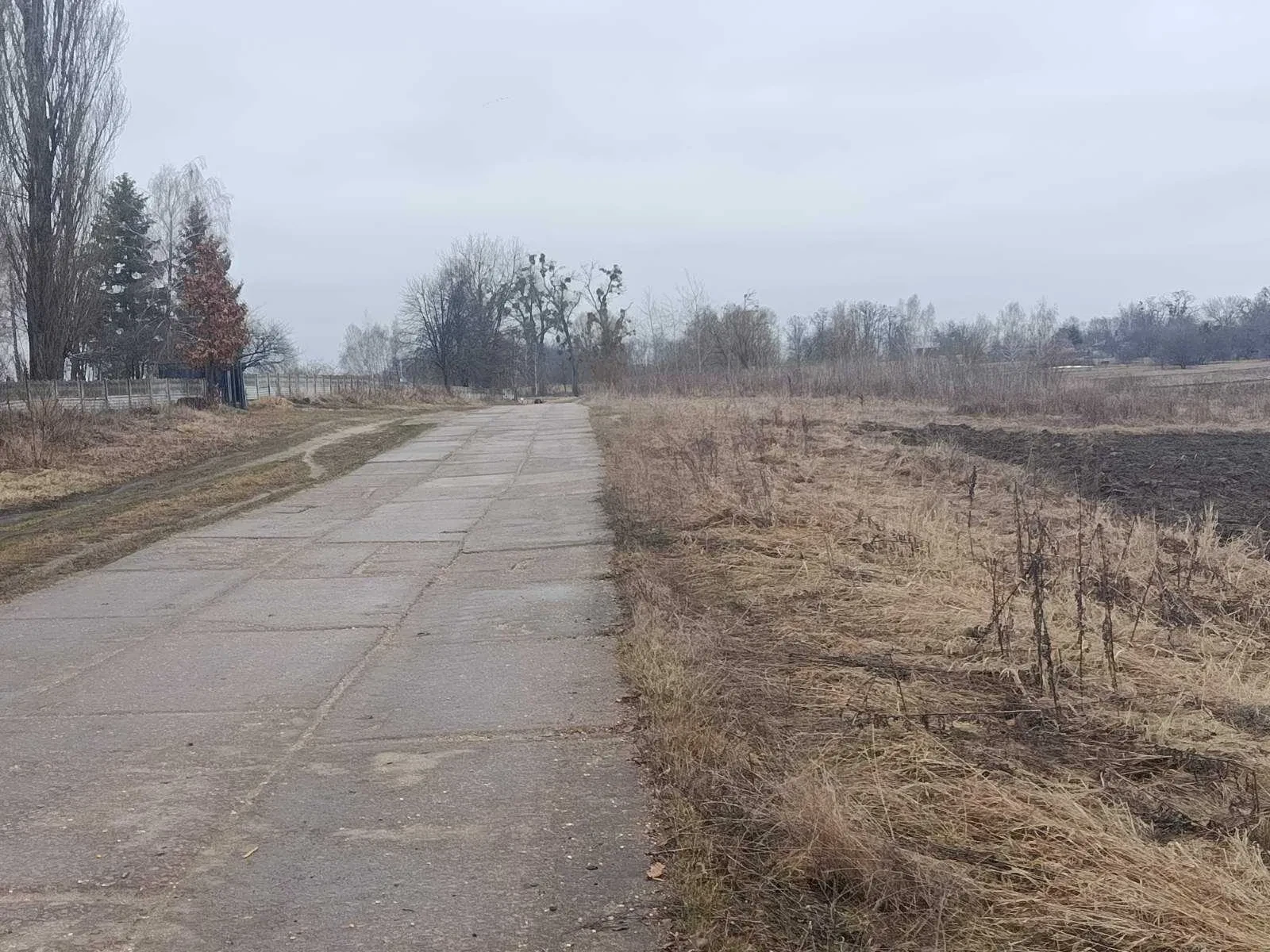 Ділянка 31 соток, Мотижин: 200 м до дороги, Добропарк, обмін - фото 4