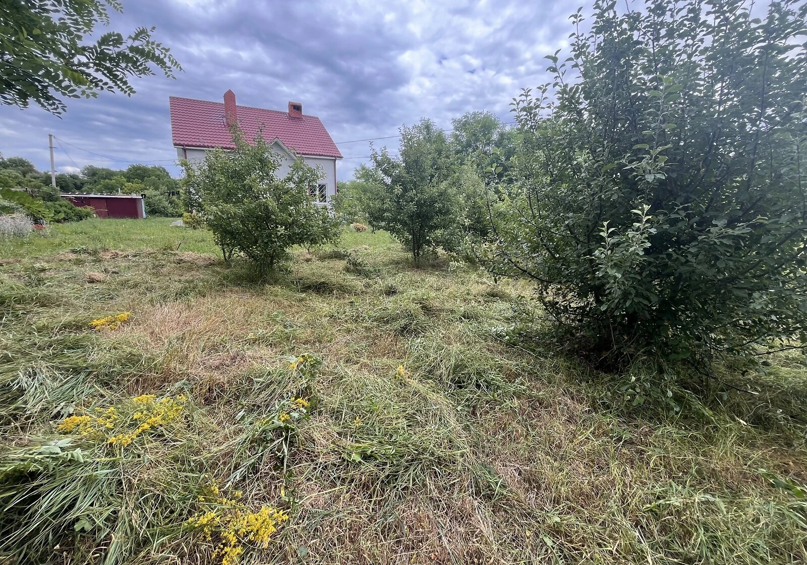 Ділянка 5.3 соток, Зарванці: під житлову забудову, сад, електрика