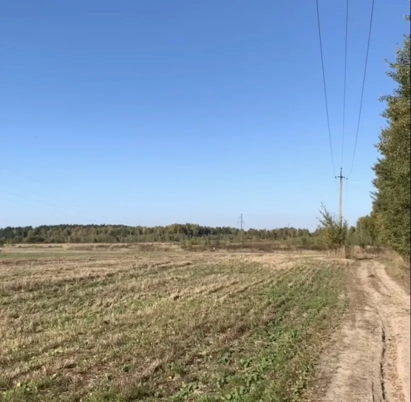 Ділянка 1 679 соток, Тумень: 1-а лінія, вода, електрика, фото 1