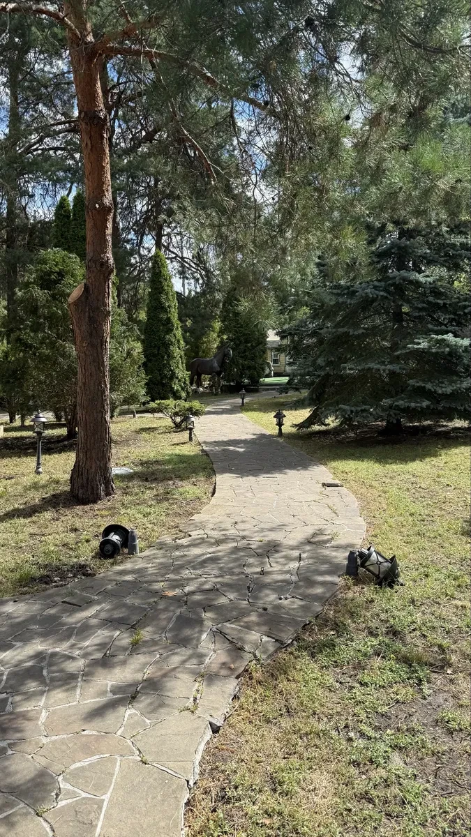 Будинок, Дмитрівка: власний ставок, баня, 15 км до метро Житомирська - фото 3