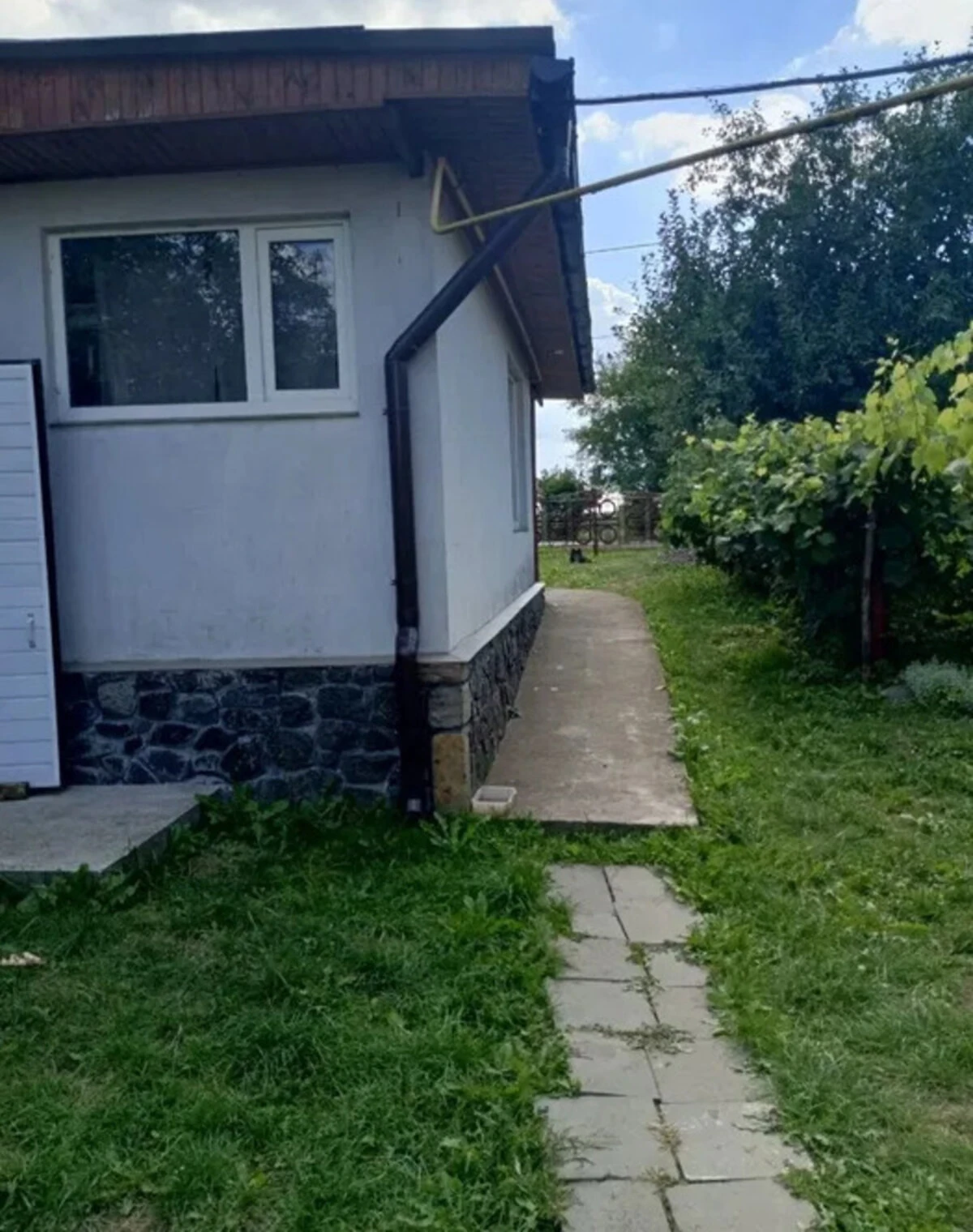 Будинок, Буйволівці: свердловина, літня кухня, сад, фото 3