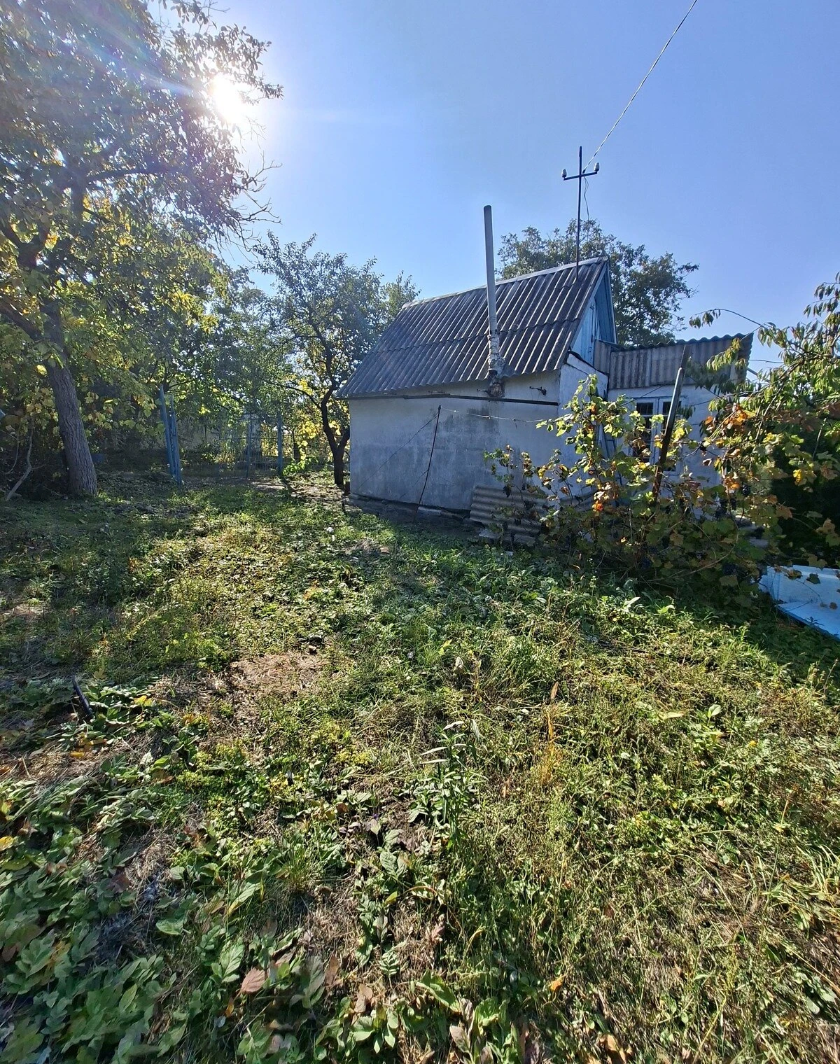 Дача, Новоолександрівка (Дніпро): ділянка 5.4 сотки, торг - фото 1
