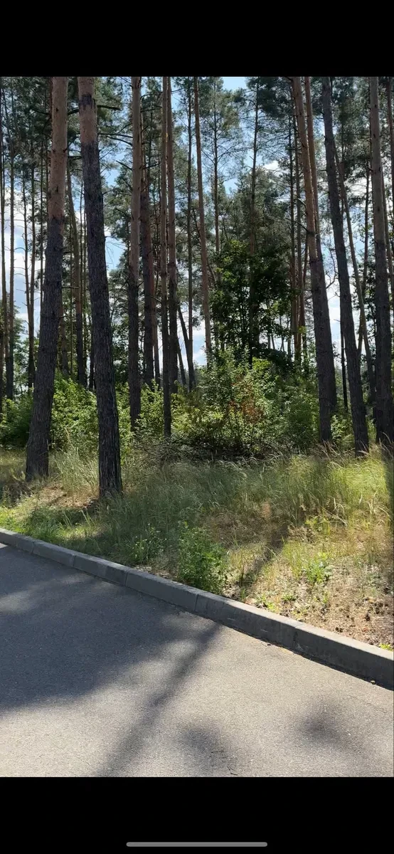 Ділянка 8.72 соток, Мощун: ліс, озера за 100 м