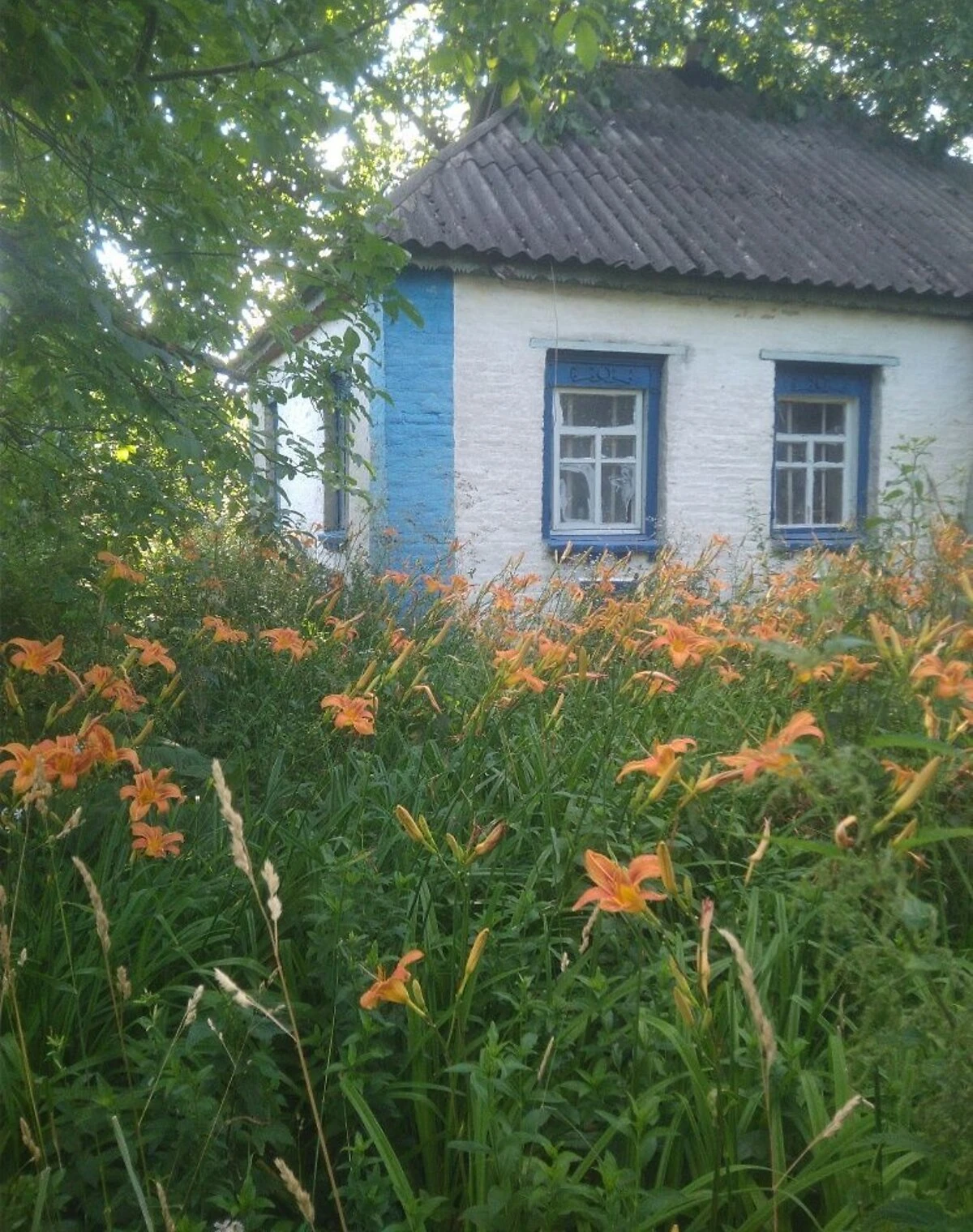 Будинок, Клепачі: літня кухня, ділянка 50 соток, фото 3