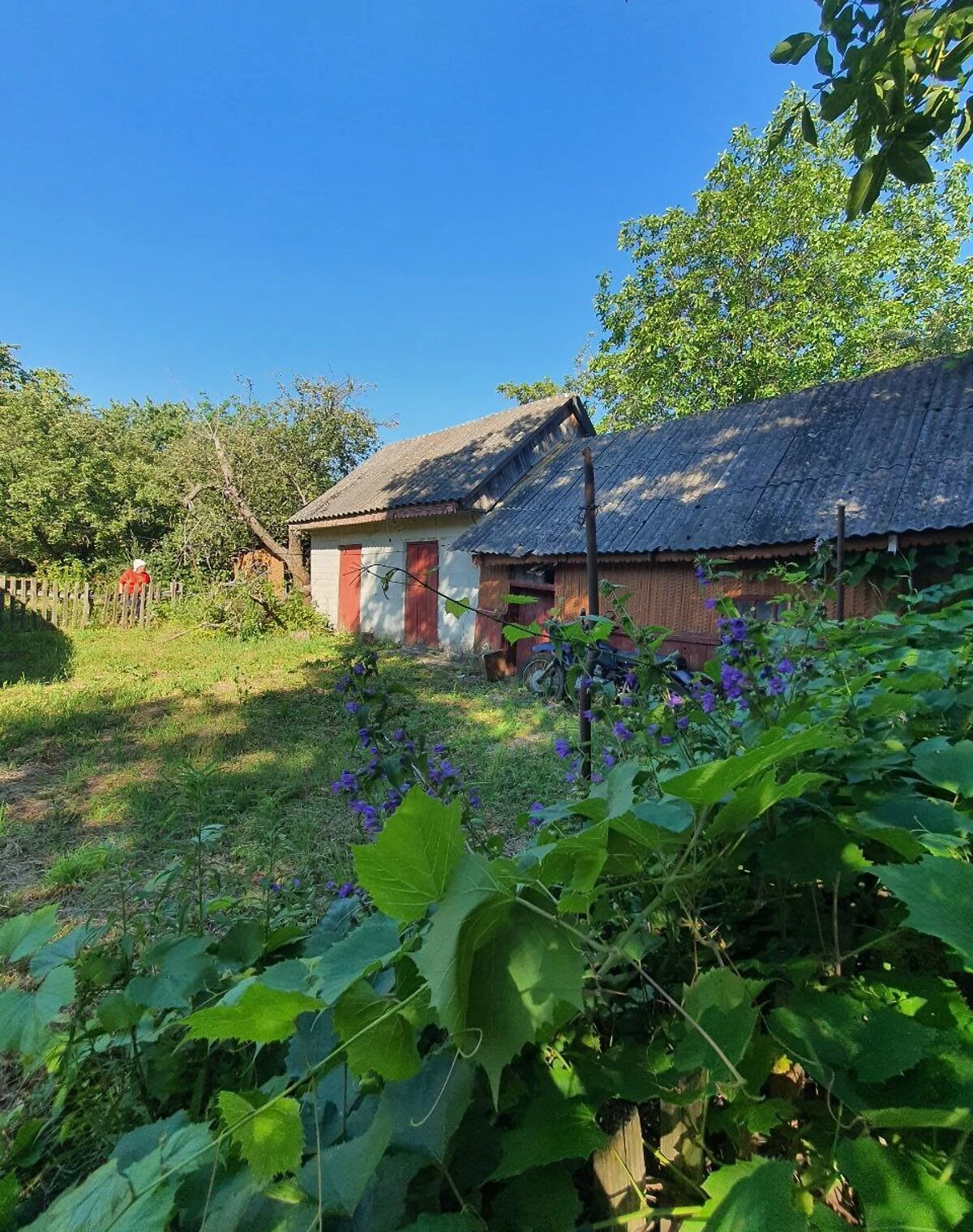 Ділянка 44.98 соток, Лука-Мелешківська: сад і будинок, криниця - фото 2